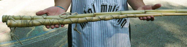 Bamboo Walking Stick